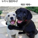 [세븐틴] 이거 ㅋㅋㅋ