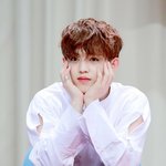 [세븐틴] 울싶않<b>쿱스</b> 나만좋아하냐