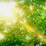 빨리 여름왔으면 좋겠다