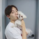 [세븐틴] 애들 <b>강쥐</b>나 고양이