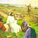 구절강해(막4 5~6 유튜브 교회 #활공교회)