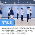 [스키즈] 테이들아 질문!!