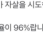 한강자살 <b>구조</b>율이 96%면 성재기는 1등급이네