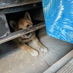 너네 학교도 <b>문이</b>과 벨붕 심함..?