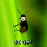 우리 동아리 언니중에 되게 멋있는 사람 있음