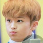 [드루와] 뿌<b>링클</b> vs 허니콤보