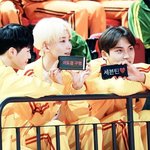 [세븐틴] 아니 아무생각없이보는데