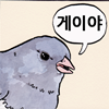 게이야 비둘기 디시콘 짤방