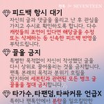 [세븐틴] 얘들아 나 끌올 좀 할께