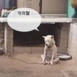 이 ㅅ쇼발 <b>영자</b>련아요ㅐ 내 글삭해