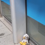 [이것좀봐줘] 길가다가 오리<b>주운</b>썰 푼다