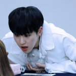 [세븐틴] 호시햄스터