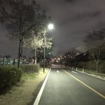 <b>반팔</b>입고 운동 왔는데 미친 개추워