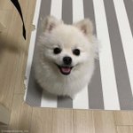 [코인] 오늘낮에 빗갤에 누가 <b>정보글</b>써줘서 시아코인 탄것임