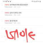 [세븐틴] 어그로 끌릴 거 각오하고 한 마디만 하면