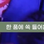 [무한분열] <b>런지</b>니가 한 품에 쏙 들어오기 때문에