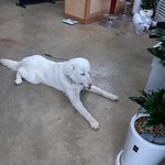 오늘 <b>밤새</b> 정주행할 웹툰 ㅊㅊ좀