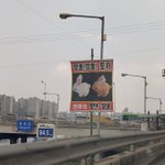 [댓글부탁해] <b>불닭</b> 먹말 추반좀