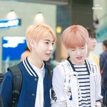 [NCT즌] 아앙 깨물어주고싶어 <b>순두부</b>들