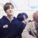 [NCT즌] 이거 <b>완전</b> 강아지한테 기댄 고양이 아니냐