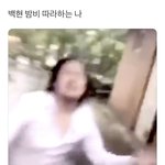 지금 살아있는 엓엘 이거 좀 봐줘
