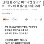 [댓글부탁해] 중국으로 팔려가는 우리나라 반도체 기업