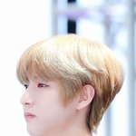 [NCT즌] 우리 <b>요정</b> 보고가