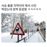 학교생활 추반 ㄱㄱ
