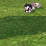 [레이] 사담)puppies <b>version</b>