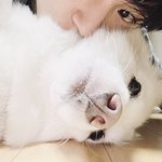 [<b>빅톤</b>] 혹시