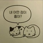 연예인 <b>쉴드</b> 쳐주는데 너무 목메지마