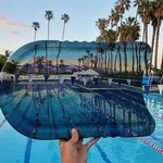 쓰레기 위에 다시 그려낸 자연