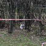 [방탄소년단] 아침에 <b>산책</b>하다 꾸기 봤어