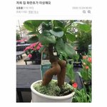 [펜타곤] 이거 완전 김<b>옌안</b>인데