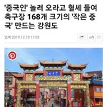 [댓글부탁해] 강원도 차이나타운 건설을 반대합니다
