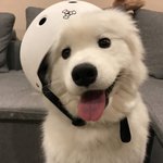 [TXT] <b>사무</b>라이드