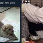 [NCT] 나 진짜 구라 안치고 정우