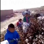 [댓글부탁해] <b>버버리</b> 나이키 아디다스 불매하는 연예인 걸러야하는이유