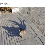[ㅈㄱㄴ] 여고에 진짜 <b>도둑</b> 많냐...?