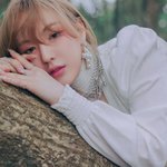 웬디 티저 <b>숲속</b>의 공주