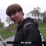<b>아미</b>들 상황