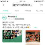 [세븐틴] <b>We</b>버스 궁금한거