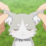 볼 거 너무 많다..........