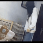 [강아지] 강아지 <b>학대</b>하나봐
