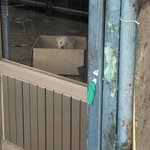 길<b>가다</b> 시고르자브종 봄