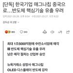 진짜 한국 ㅈ망하는거 아니냐