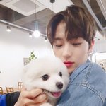 [댓글부탁해] <b>isfp</b> 잇프피들아 노래추천해줘