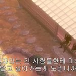 <b>이타치</b>