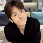 <b>이</b> <b>강아지</b>를 들고 튀어도 될까요