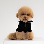 라섹이나 <b>라식</b>한사람??!!?